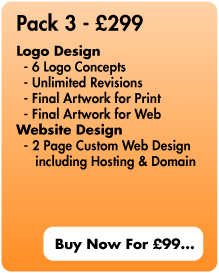 Logo & Website Design Package