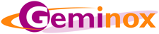 Geminox Industrial company logo design