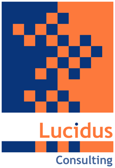 Lucidus Consultancy company logo design
