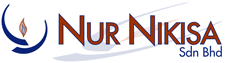 Nur Nikisa Import Export company logo design