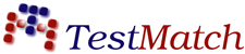 Test Match Logo Design for a IT Company based in London